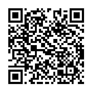 以天下美人供皇帝一人选择实在是不和阿九的心思二维码生成