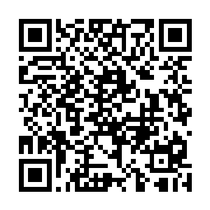 以天罗青种汲取龙气长成的小天罗地网计算力量非常强大二维码生成