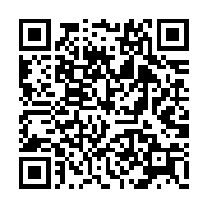 以她一人之力便让彼盛天宫依旧立足于一界之巅二维码生成