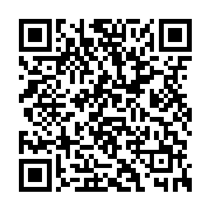 以她和萧晨的实力也绝对有资格抢夺到至少一件二维码生成