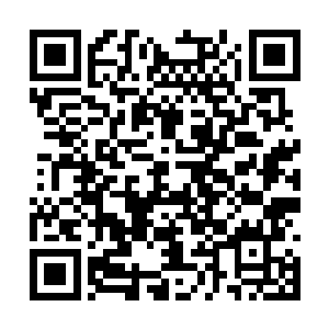 以她大罗金仙的身份竟然如个婴儿般完全无法抵抗二维码生成