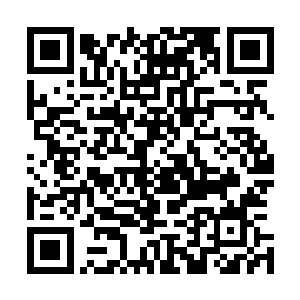 以她天灵根的资质是不可能让她随便溜走或者在宗门里成为二维码生成
