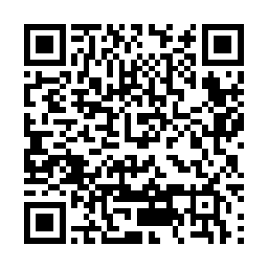 以她的实力自然能看得出谭族的那件东西在谭妙彤身体内二维码生成