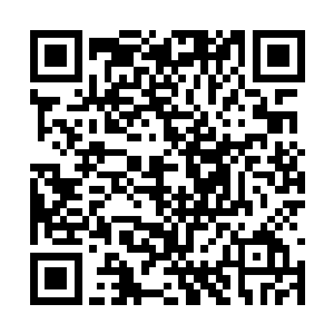 以孩子般的天真笑容做出让恶魔都不忍目睹的惨剧二维码生成