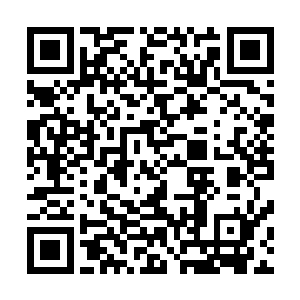 以它缓慢如蜗牛的神经传递信息速度以及粗糙和迟钝的感知二维码生成
