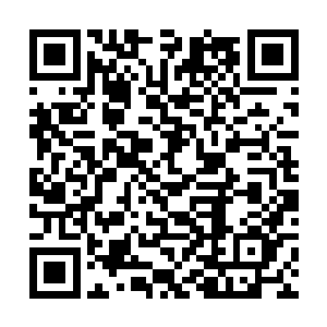 以安德烈为首的一众豪门子弟也正在朝拍卖场内走去二维码生成