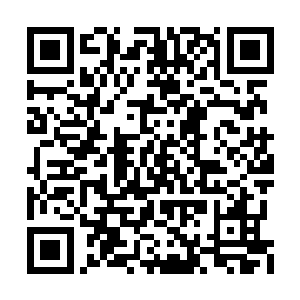 以带有丝丝怜悯的目光看向贸然闯入的不速之客二维码生成