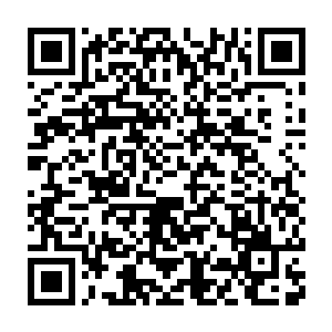 以往不是没有发生过一些一劫真神年轻子弟出来后已经是二劫真神二维码生成