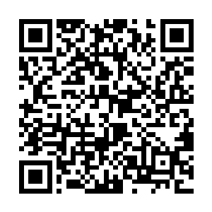 以往他们心中的那种高手此时也变得十分的可笑起来二维码生成