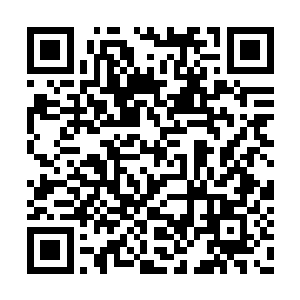 以往在沈敖那边听说了许多关于杨开的奇闻轶事二维码生成