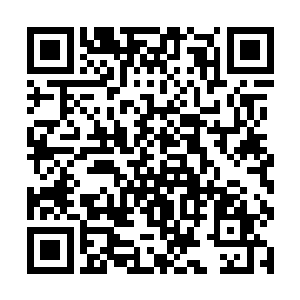 以往接触的许多贵族只是听见猎人们用魔血侵染箭头二维码生成