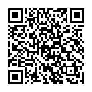以往楚暮还在青锋剑派时所创造出来的云系剑技惊云杀二维码生成