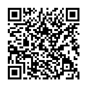 以往的她正是因为被注视的习惯了所以忽视了这些人的视线二维码生成