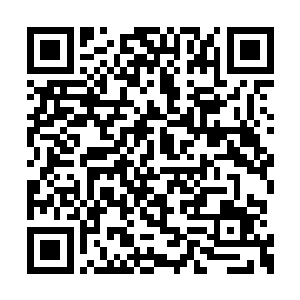 以往秦奋和另外两位精通枪道的开天境闭关修行二维码生成