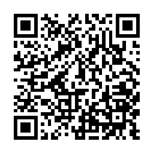 以往闷声闷气不说话的上官飞忽然说要加入这场赌局二维码生成