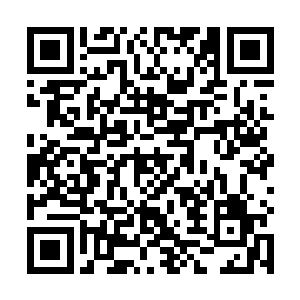 以徐辛夷的照夜玉狮子和后来送给秦林的踏雪乌骓最好二维码生成