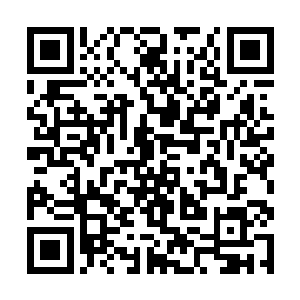 以快得不可思议的速度来到被剑尘砸出的那个大洞前二维码生成