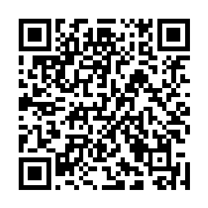 以惊人气势镇住了陨皇山上无数妖魔的金翅大鹏鸟大声叫道二维码生成