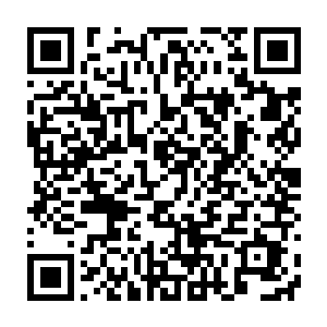 以我现在的状态和盛怒的埃斯特拉达交手的话……大概就是一锤子吧二维码生成
