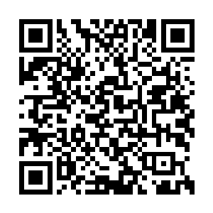 以我的实力在生存游戏里面一定不会遇到危险的二维码生成