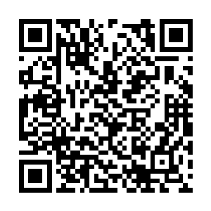 以托怀宁县衙冯卫兄于翌日赴下河丈量二弟家之田二维码生成