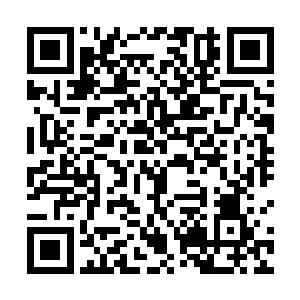 以报案人的身份掩盖其罪行――这种做法是屡见不鲜的二维码生成