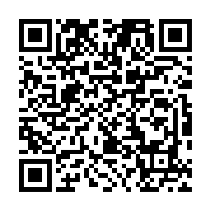 以整个阵法的强大来些微弱的破损甚至是能够自行修善的二维码生成