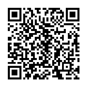 以无比霸气的姿态让十几位顶尖强者灰头土脸的退走之时二维码生成
