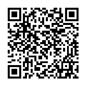 以暗夜主宰的身手在现在的费南不说打遍天下无敌手二维码生成