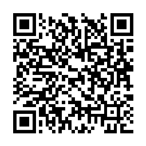 以更快的速度朝着伊芙琳和一众黑暗精灵席卷而去二维码生成
