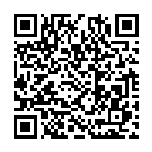 以最快的速度将剩下的二十七朵并蒂莲给尽数摘采二维码生成