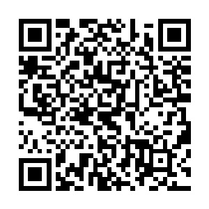 以杨开如今七品开天的修为来追溯一个八品墨徒的力量根源二维码生成