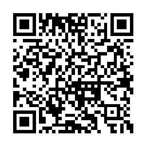 以杨开的资本去追求那漫漫不看不到边际的武道二维码生成