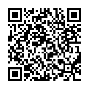 以极快的速度划破长空眨眼间便消失在天地一线之处二维码生成