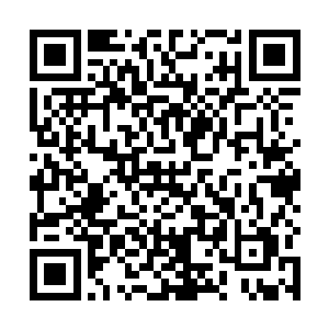 以林欣悦的性格来说最讨厌的就是王子浩这种纨绔子弟二维码生成