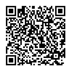 以楚旬等人的实力自然不会畏惧那三大家族所派来的几十个界主强者二维码生成