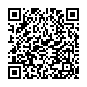 以楚绍英为首的云州各个名门世家的家主们更是齐齐的迎了上来二维码生成