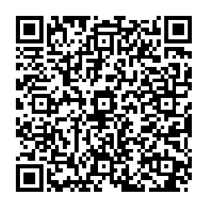 以此优化我们的仙天不然你觉得我们仙天的成长纯粹就是用资源堆积起来的沙滩城堡二维码生成