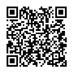以此证明智为科技已经买回了1oo台苹果笔记本电脑二维码生成