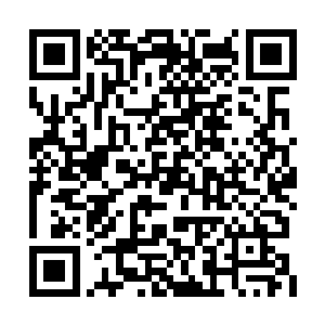 以沈铭绍为首的苏州富豪们也是眼珠子越瞪越大二维码生成