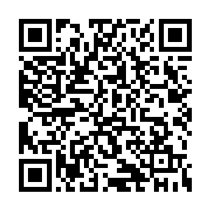 以浩瀚无边的力道生生将白凤双手给反擒拿住了二维码生成