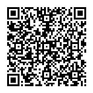 以玛库鲁总督莫泊先生为团长的玛库鲁访问代表团将要巡访航线上途经的各国……二维码生成