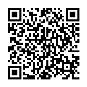 以现在万剑归宗的威力绝对可以让龙傲天当作底牌来用了二维码生成