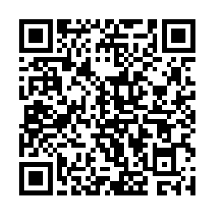 以目前陆为民和秦宝华之间正在逐渐磨合融合的趋势二维码生成