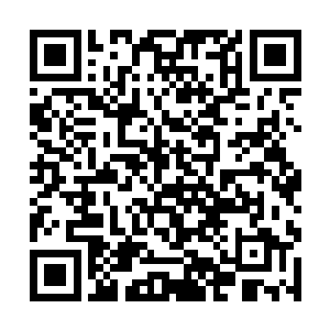 以神王境的实力便拥有不弱于无极始境一重天的战力二维码生成