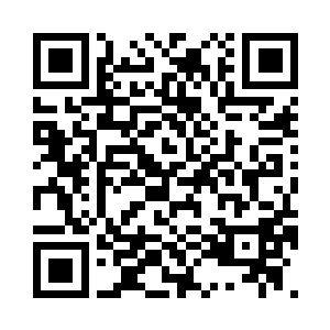 以空气拳的方式砸在了花叶的胸口上二维码生成