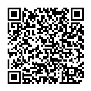 以粗麻绳编织有着很多尖钉的网迅速在地面上形成了一条S形布下的拦阻带二维码生成