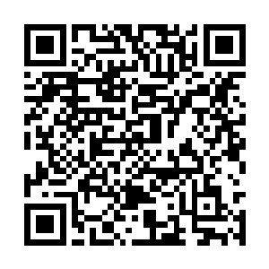 以纯净而强大的月光之力慢慢的将四周的裂缝撑大二维码生成