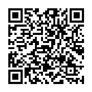 以纯欣赏的目光在二女的胸脯上各自停留了小片刻二维码生成