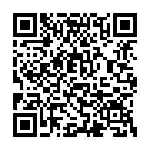 以老祭祀为首的族人举行了很是隆重的祭拜活动二维码生成